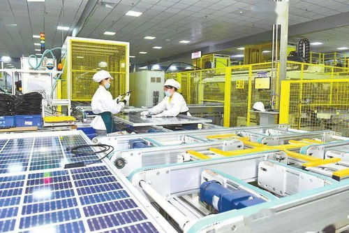 建设数字盐城，打造智慧城市 数字技术服务的战略路径与实践探索